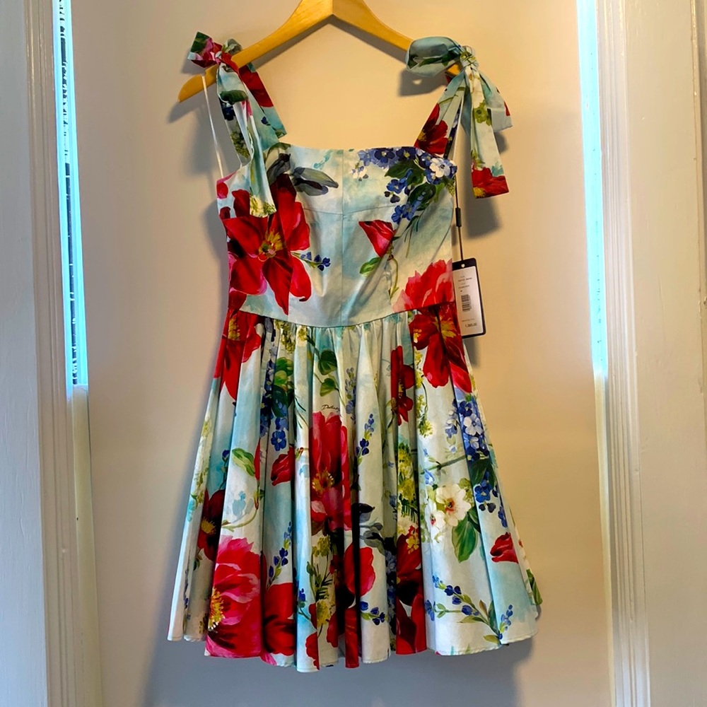 Dolce & Gabbana Light Blue Floral Mini Dress with Red Flowers
